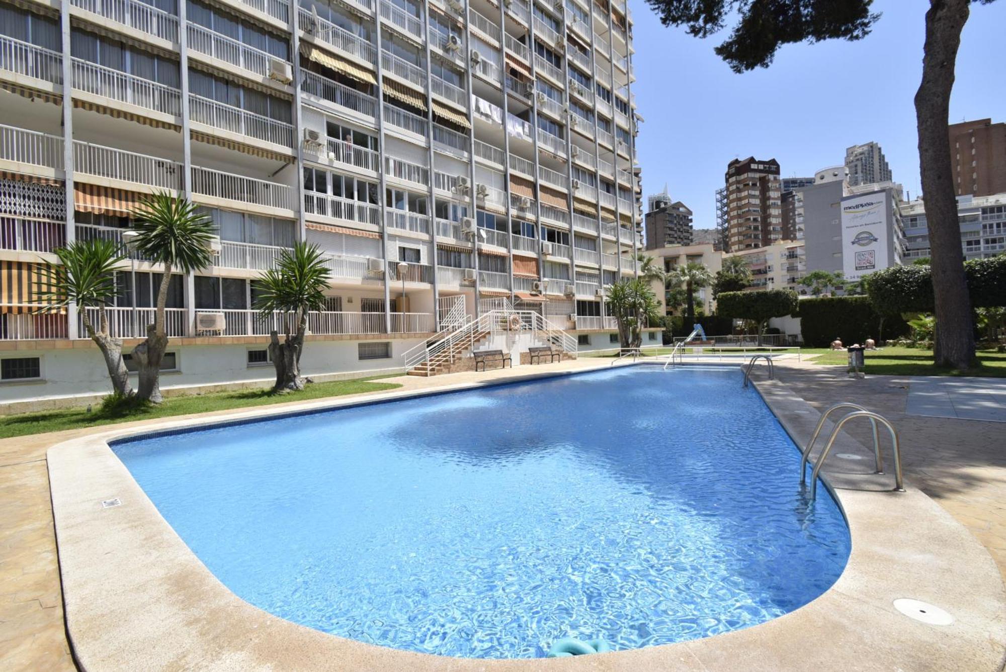 Albatros - Arena Benidorm