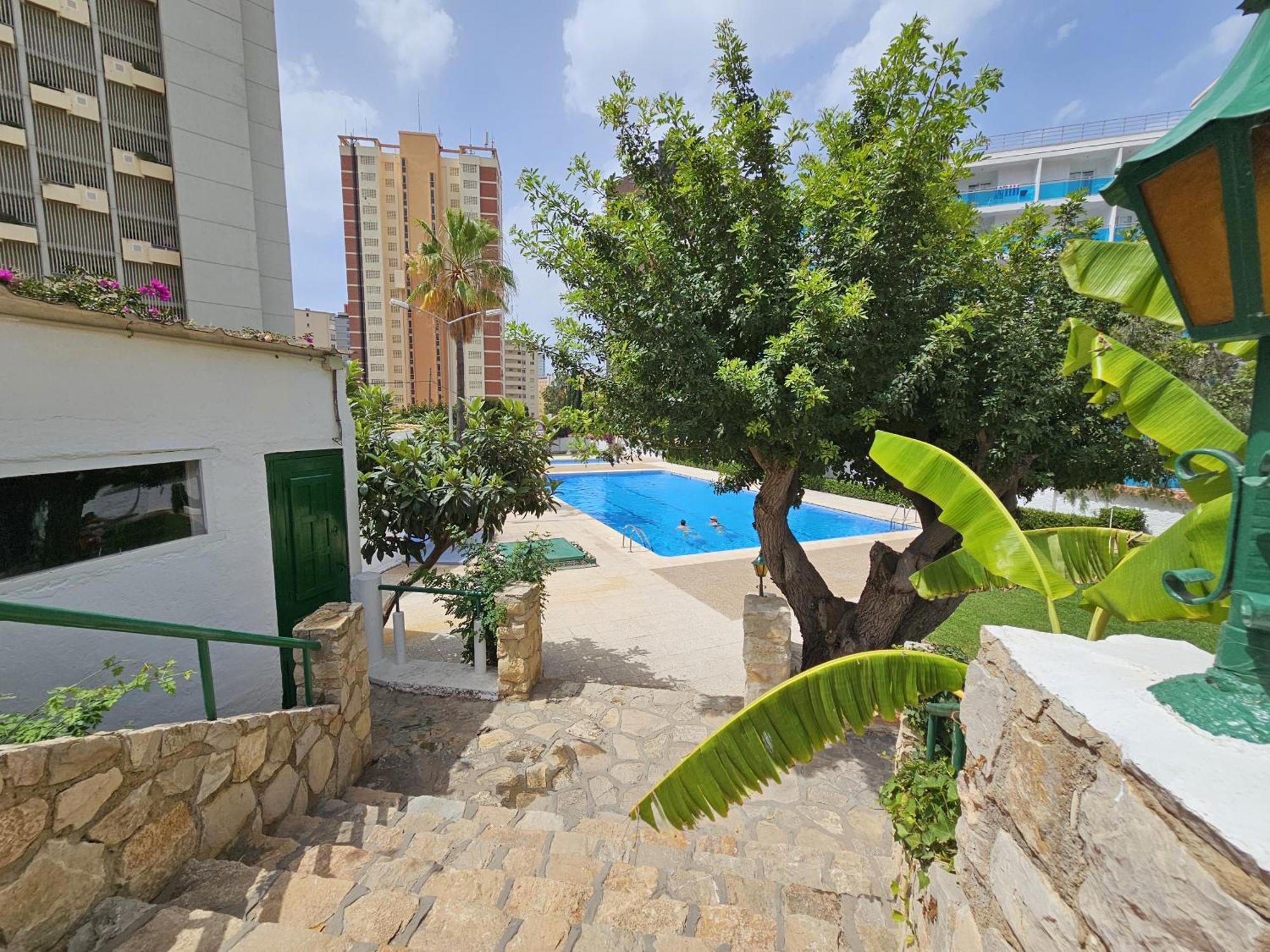 Girasol 4 If * Benidorm