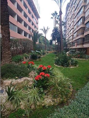 Centrico En 1a Linea De Playa Apartment