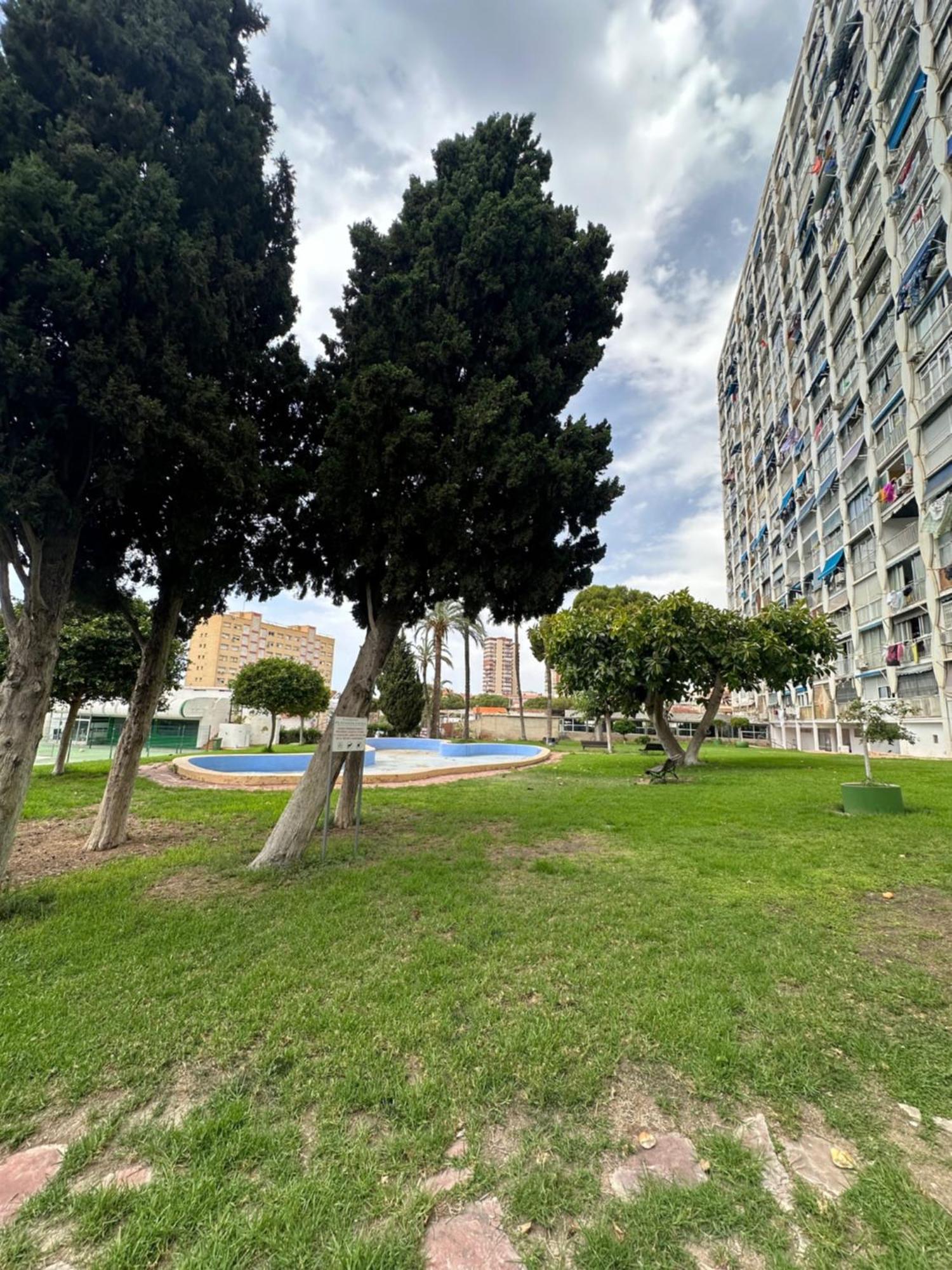Apartment Apartamento I Rentalholidays Ref 031 Benidorm