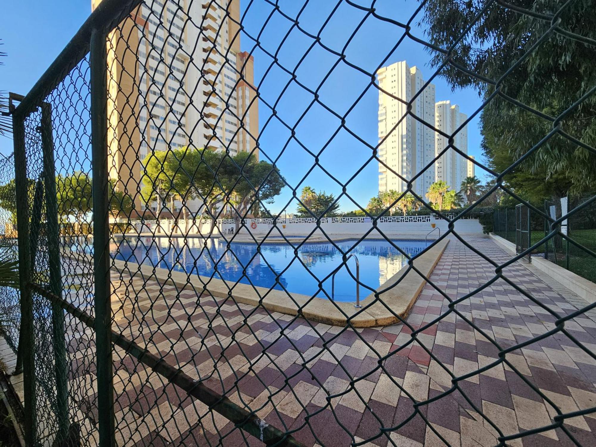 Provima B 16 If Benidorm