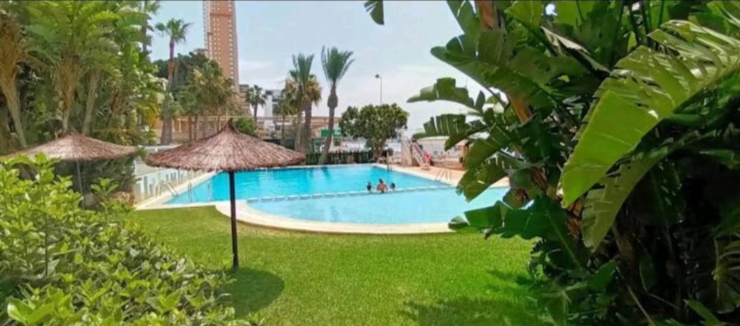 Appartement Acapulco Luxe Piso 3 En 1a Linea Playa Poniente Vistas Al Mar Espectaculares Y De Luxe Con Acceso A Piscina Y Garaje Privado