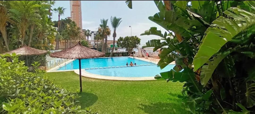 Acapulco Luxe Piso 3 En 1a Linea Playa Poniente Vistas Al Mar Espectaculares Y De Luxe Con Acceso A Piscina Y Garaje Privado * Benidorm
