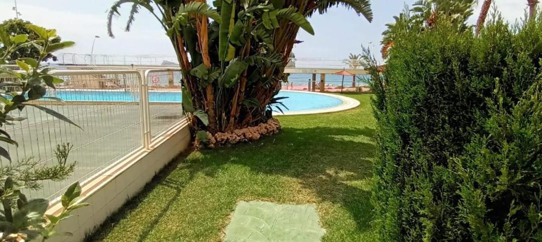 Acapulco Luxe Piso 3 En 1a Linea Playa Poniente Vistas Al Mar Espectaculares Y De Luxe Con Acceso A Piscina Y Garaje Privado *