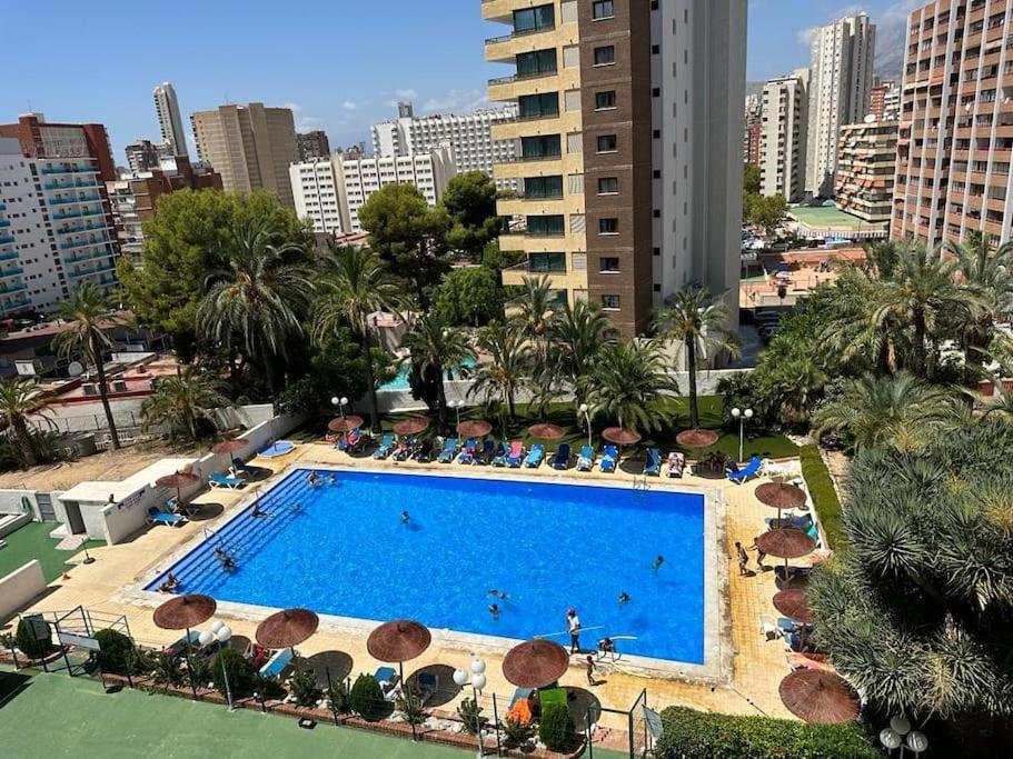 - Studio Bermudas Benidorm