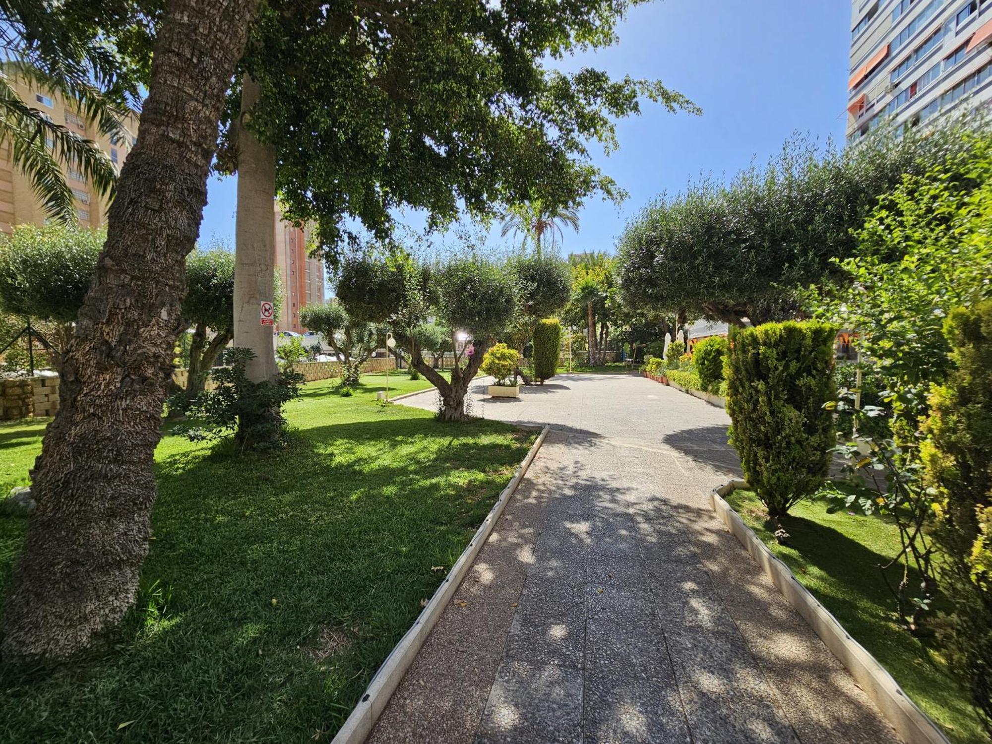 Apartment Cervantes If Benidorm