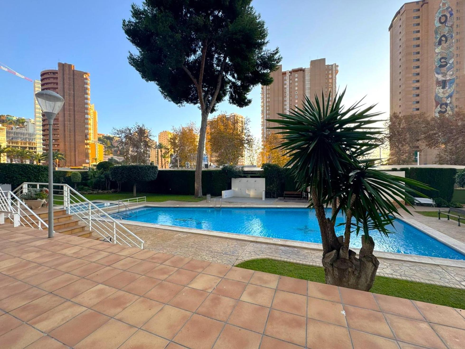 Albatros Luxury Ground Floor *