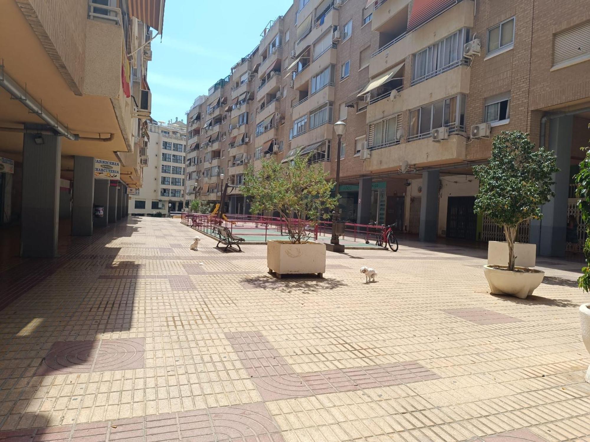 Vacacional Homestay Benidorm