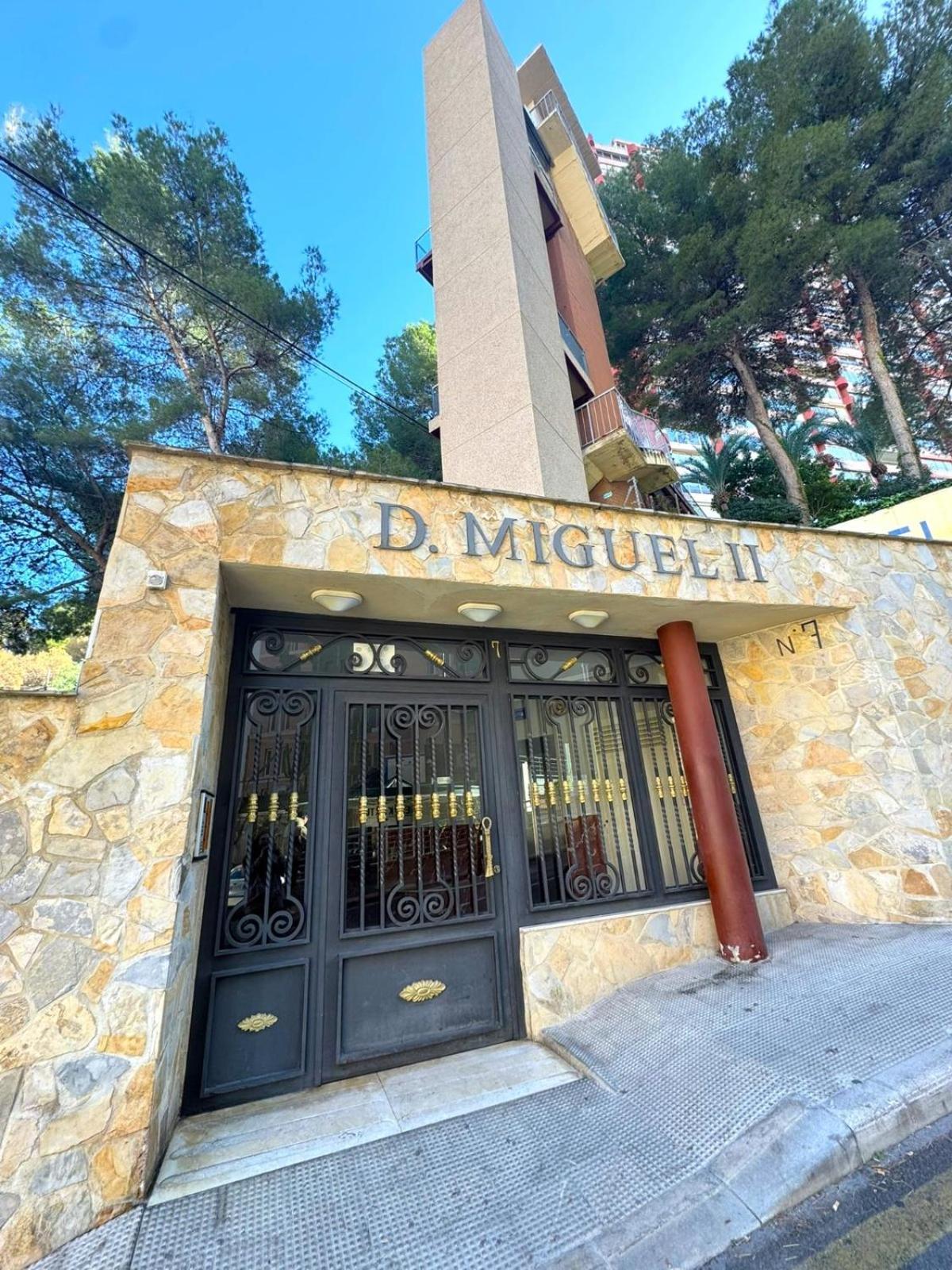 Don Miguel Ii 20