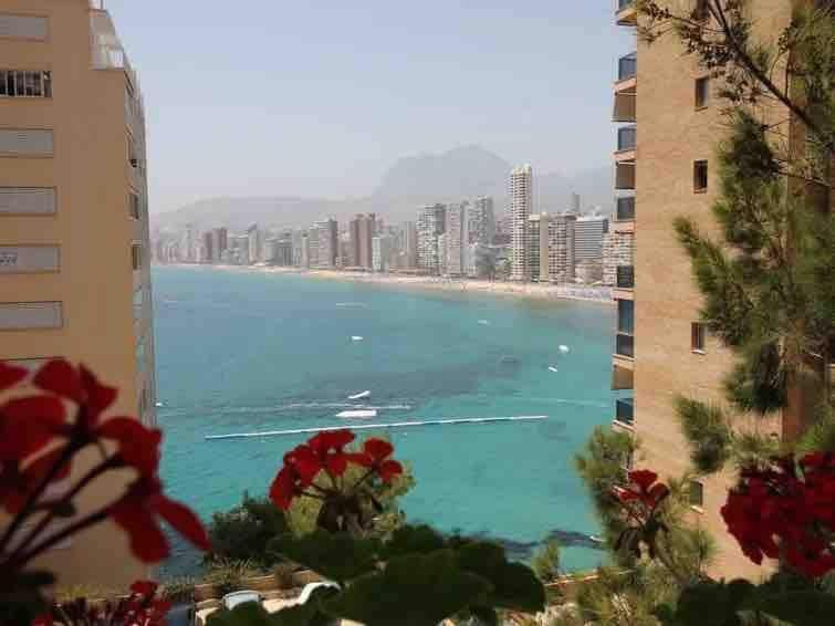 At Trinisol Ii - Beni's & Seaside! Apartment *