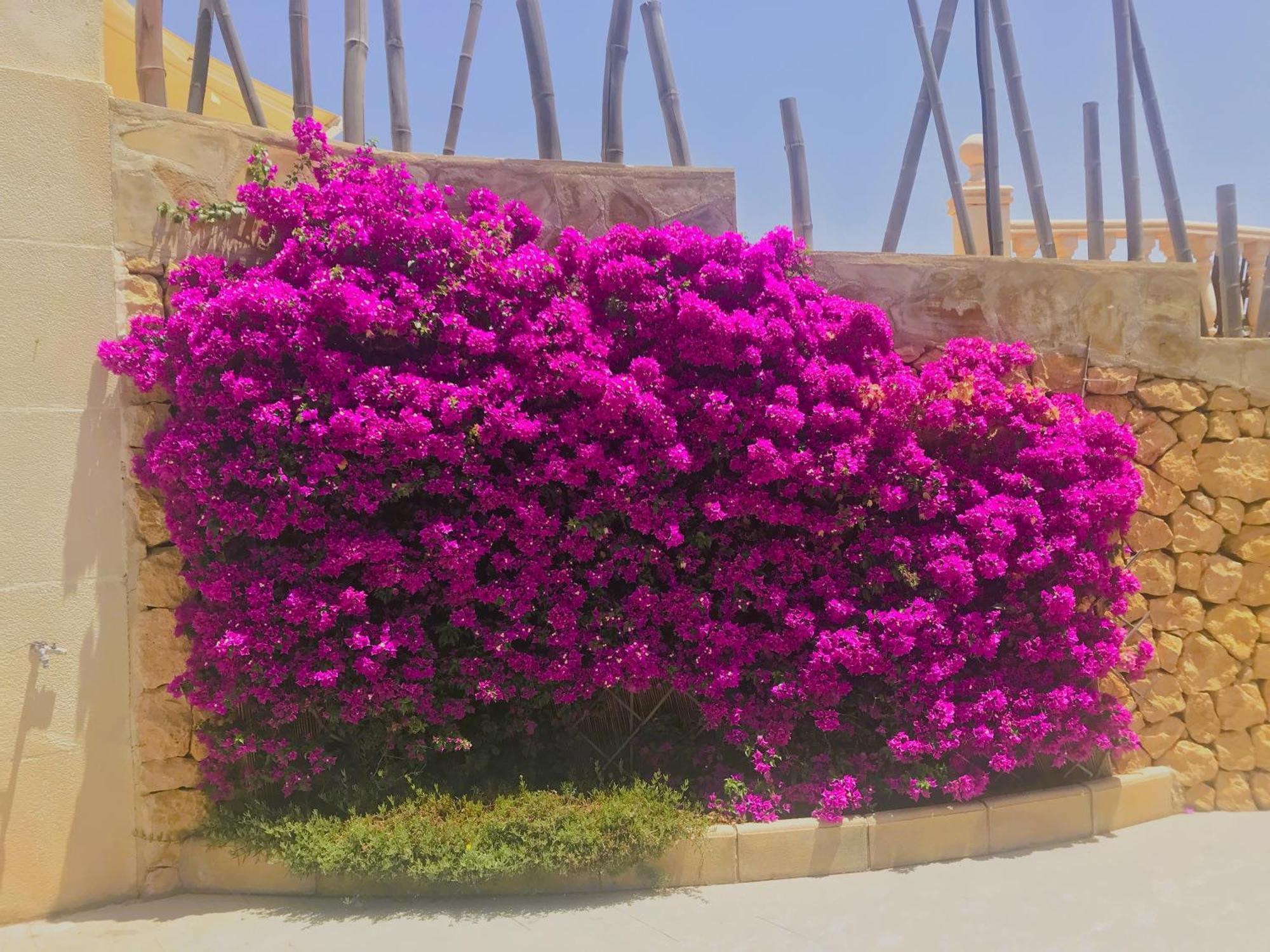With Panoramic Sea Views Villa Benidorm