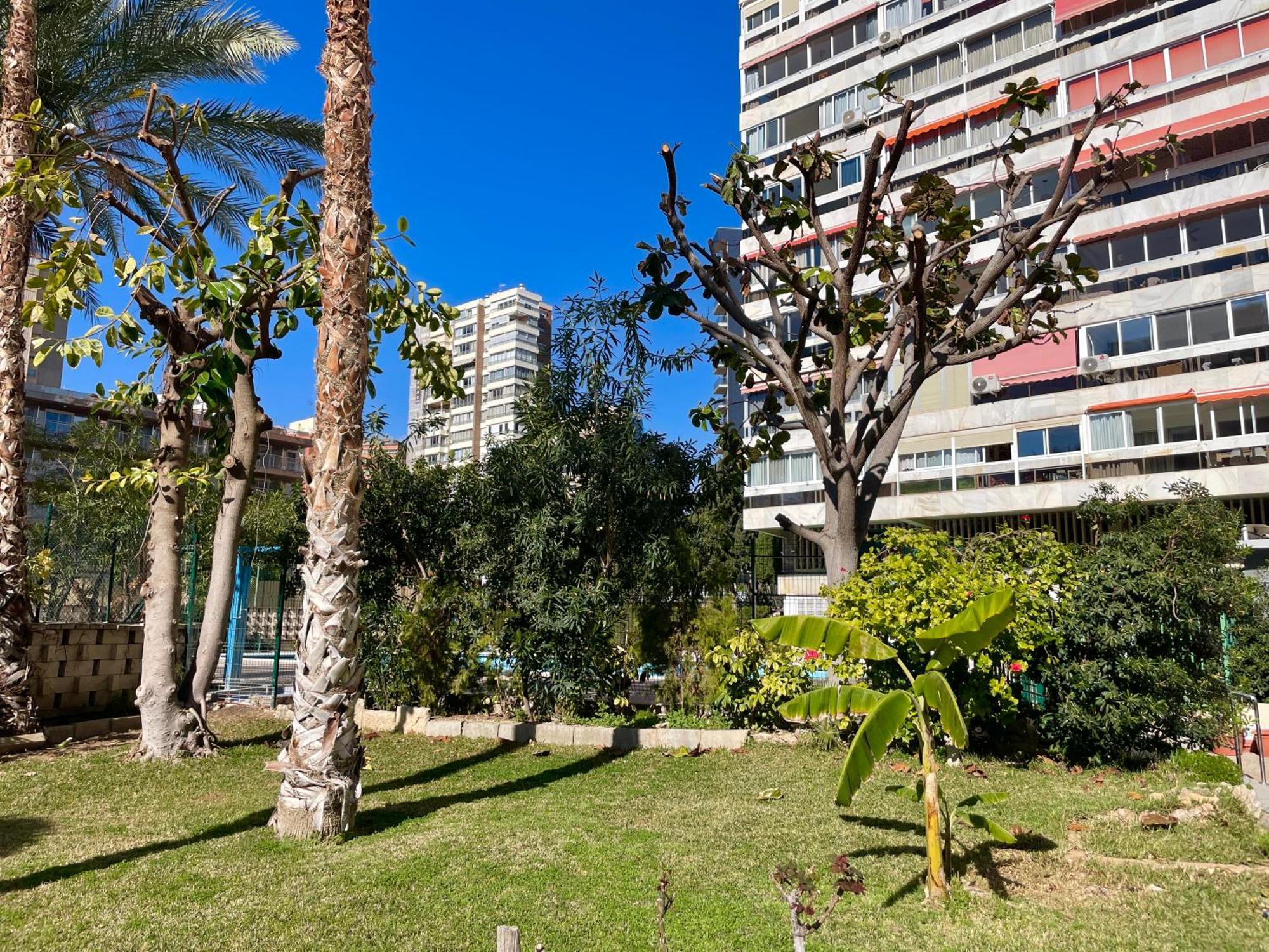 Relax Y Confort, Reformado Con Piscina Apartment