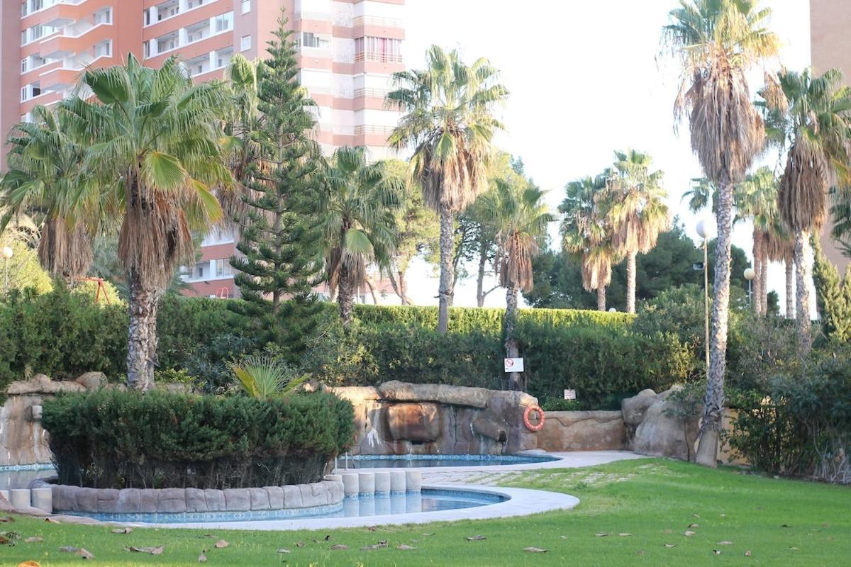 Primerisima Linea De Playa Apartamento
