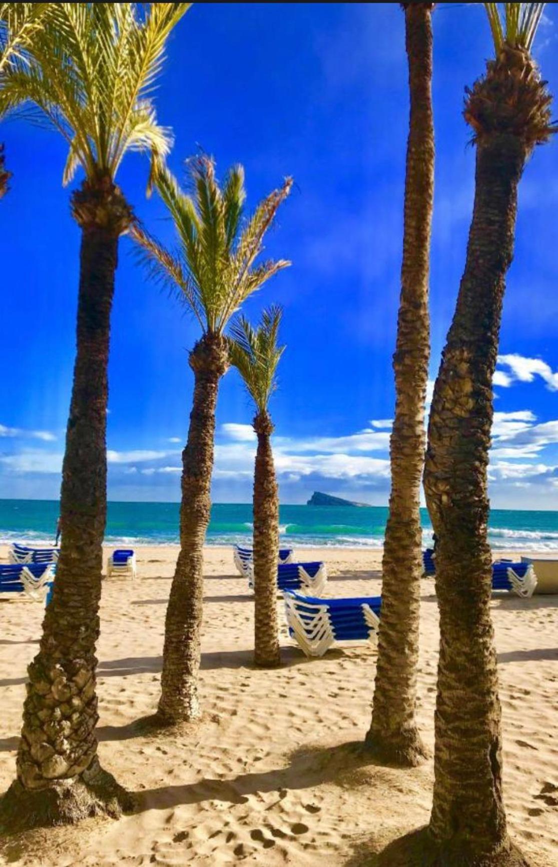 Apartment Piscis Playa *