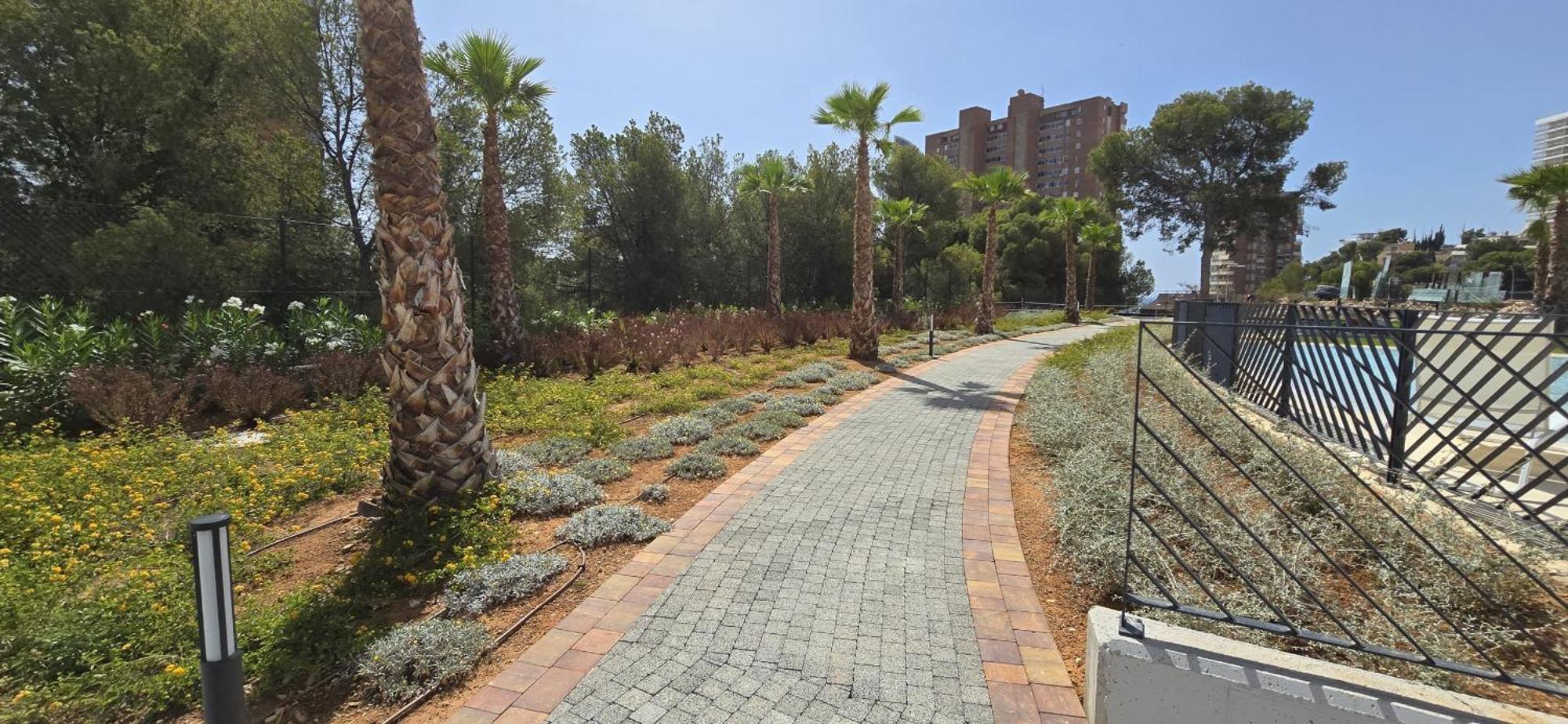 20 - Arena Benidorm