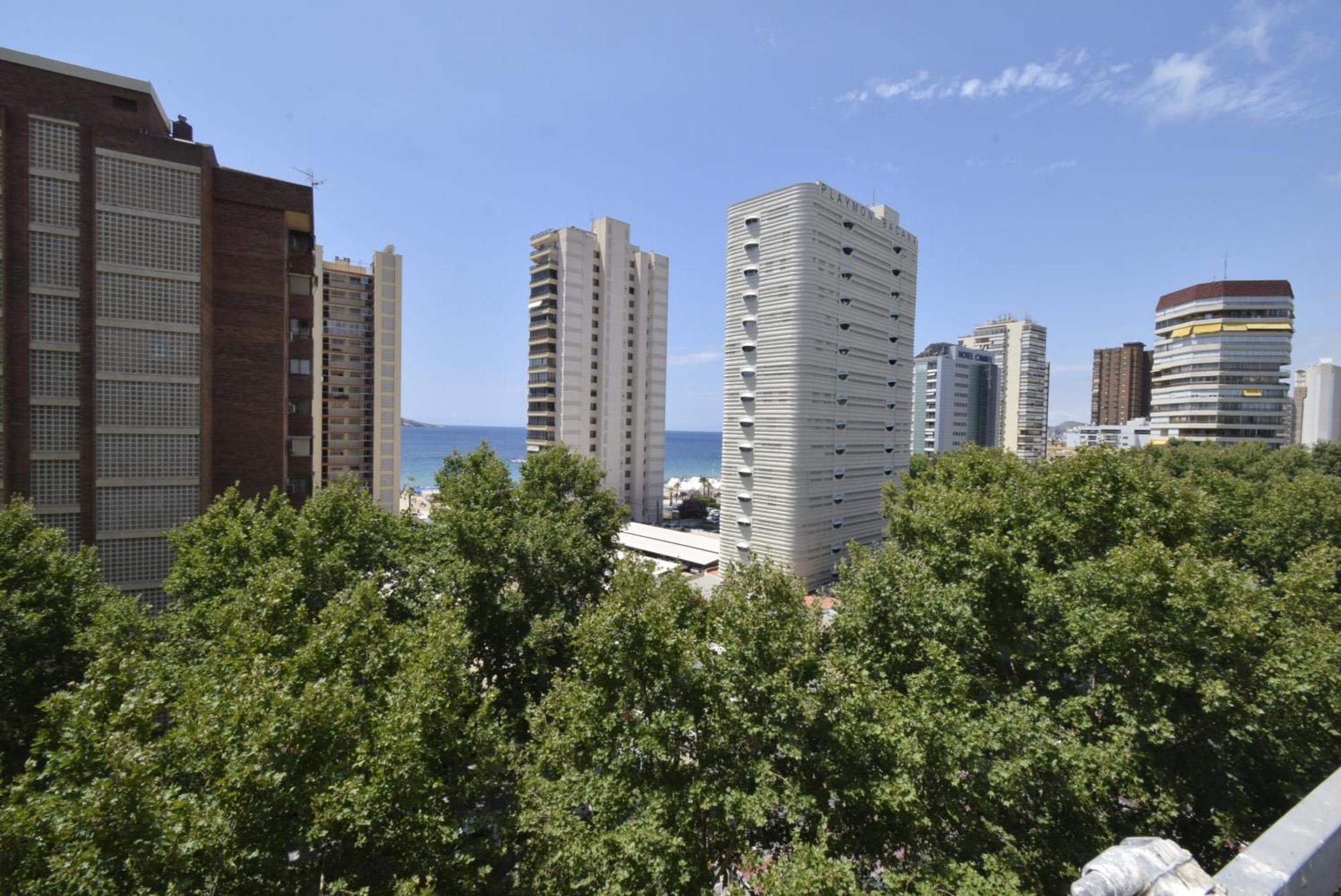 Pdo. Mediterráneo - Arena Benidorm