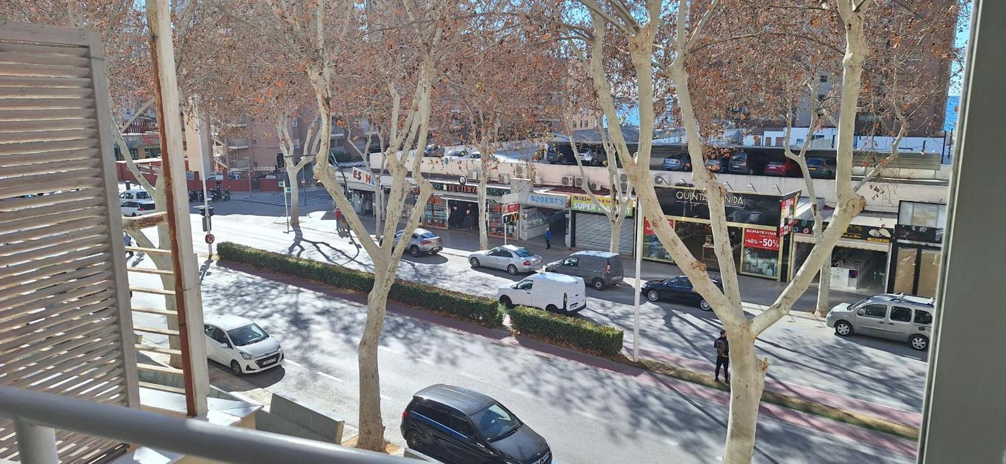 Caballos 2d - Estudio - Arena * Benidorm
