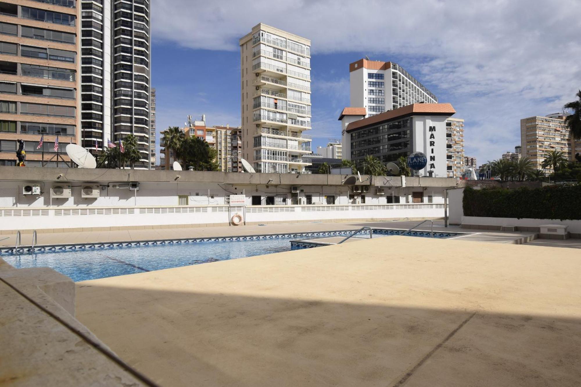 Caballos 2d - Estudio - Arena Benidorm