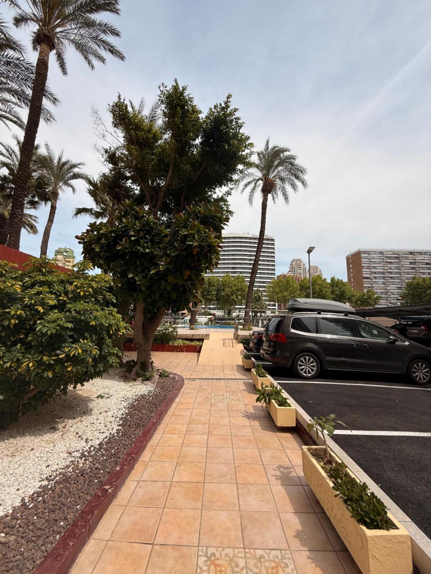 Damas Piso18 * Benidorm