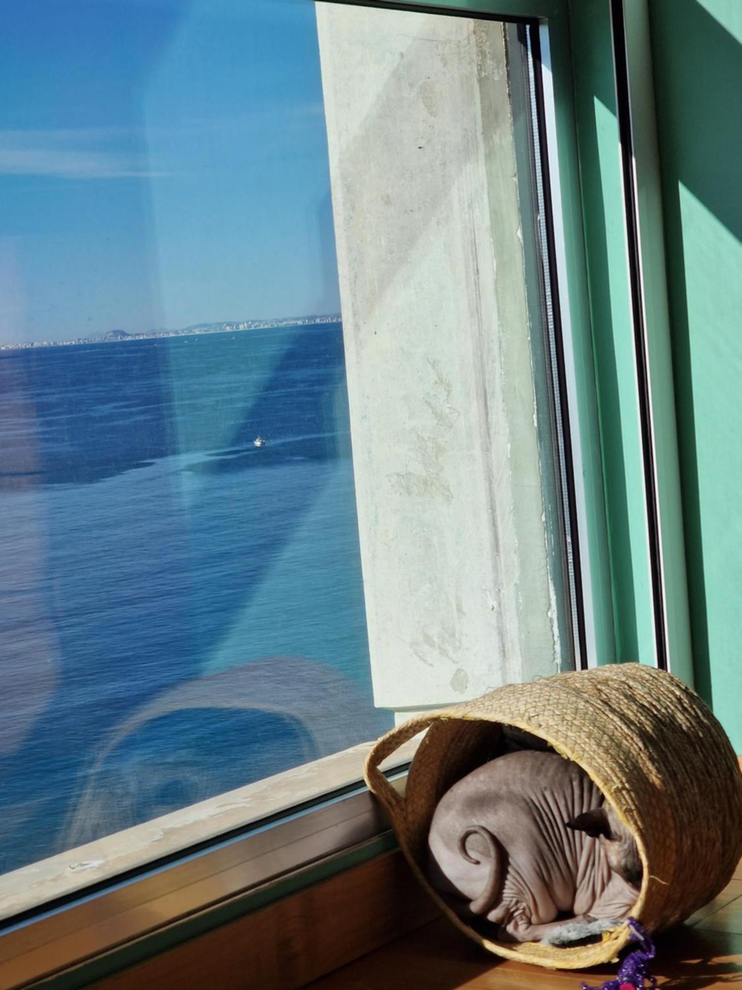 Mar Lux Homestay