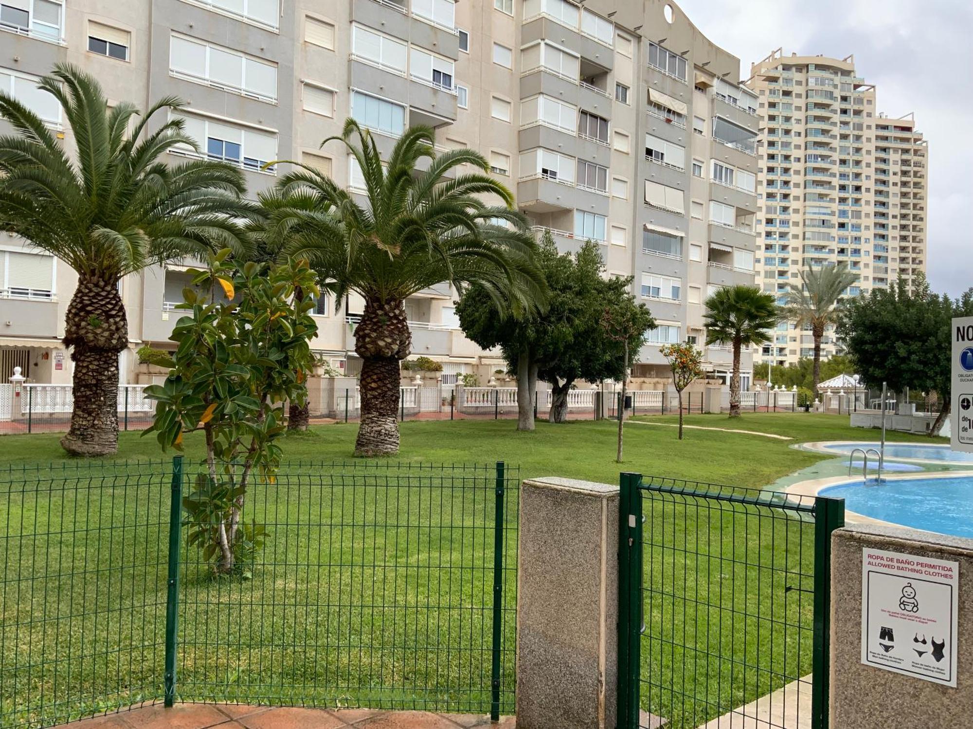 Olivos Benidorm
