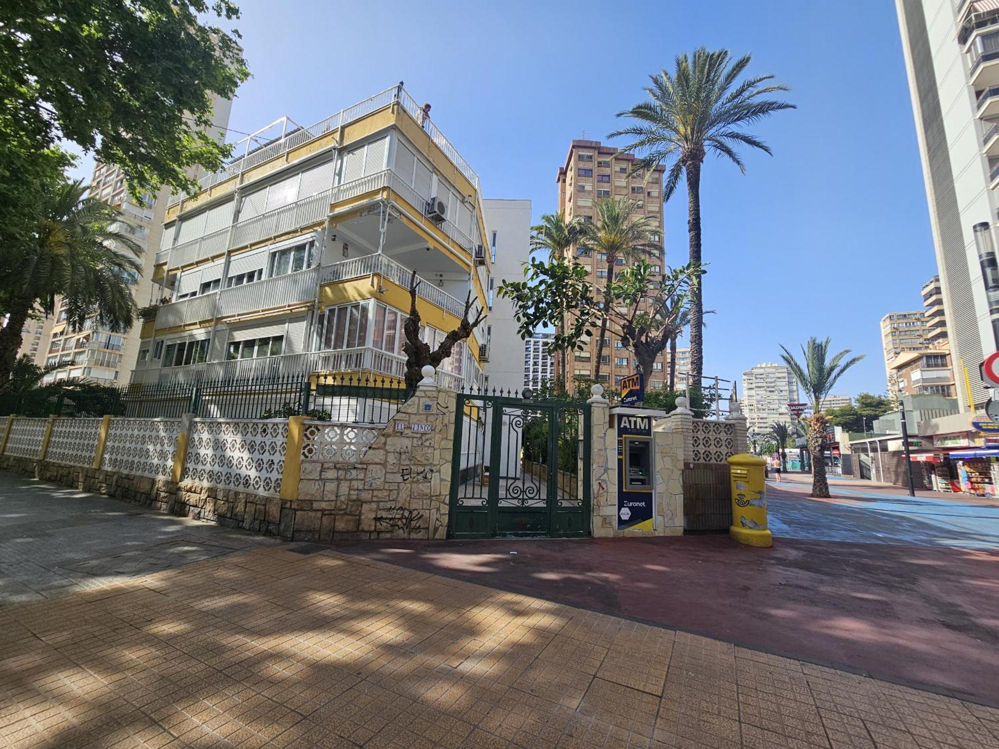 El Junco If * Benidorm