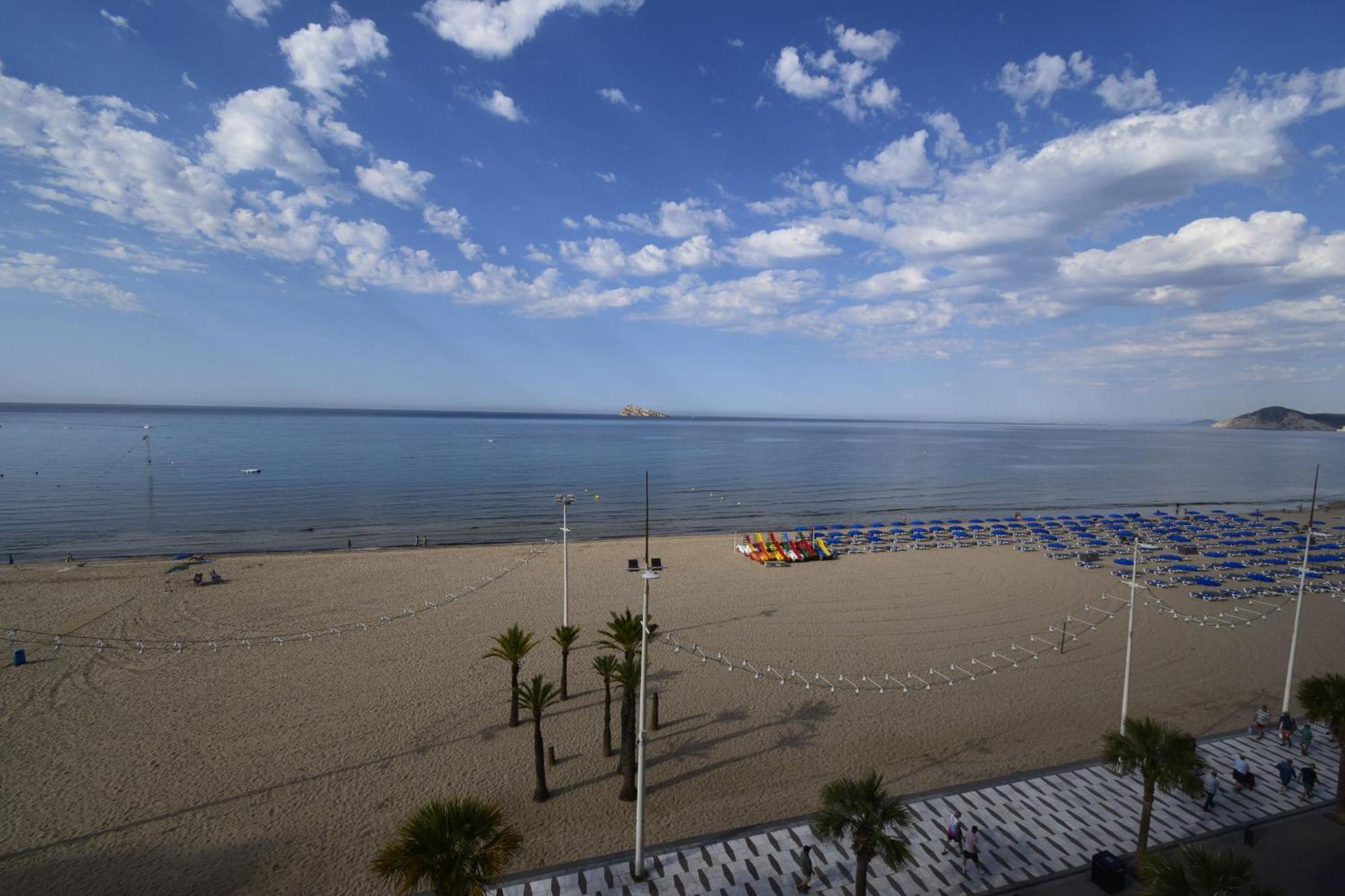 Cachirulo 2 - Arena * Benidorm