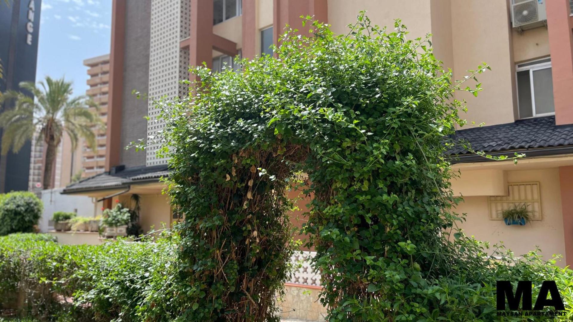 Maysan Appartement *