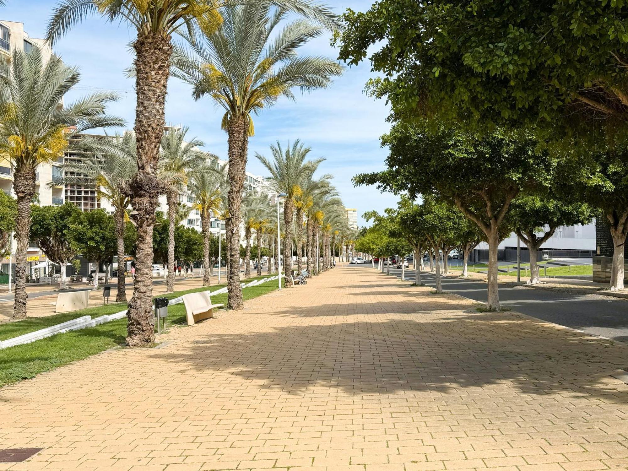 Apartamento Cala Alta Benidorm