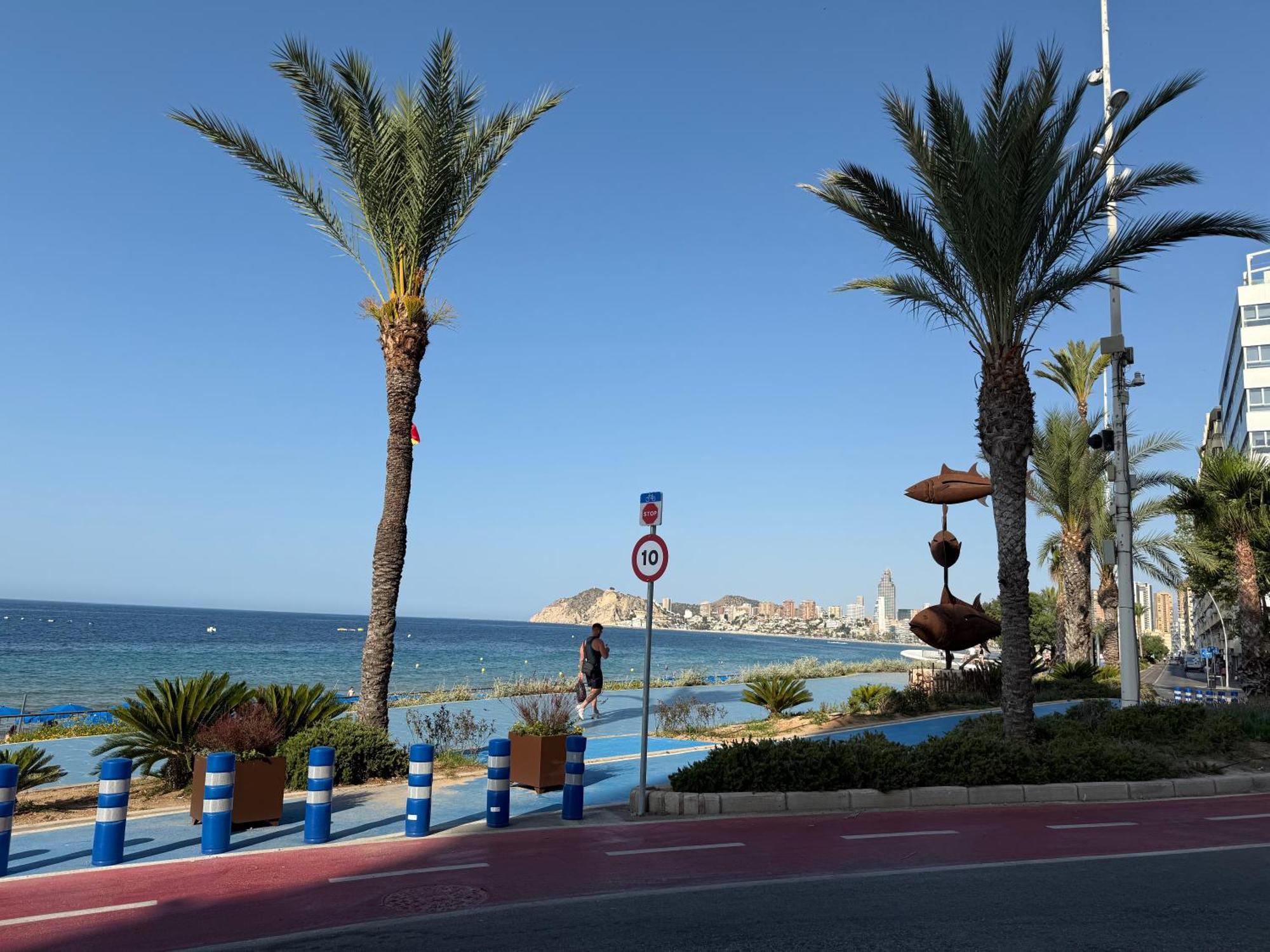 Navasa 2 3f * Benidorm