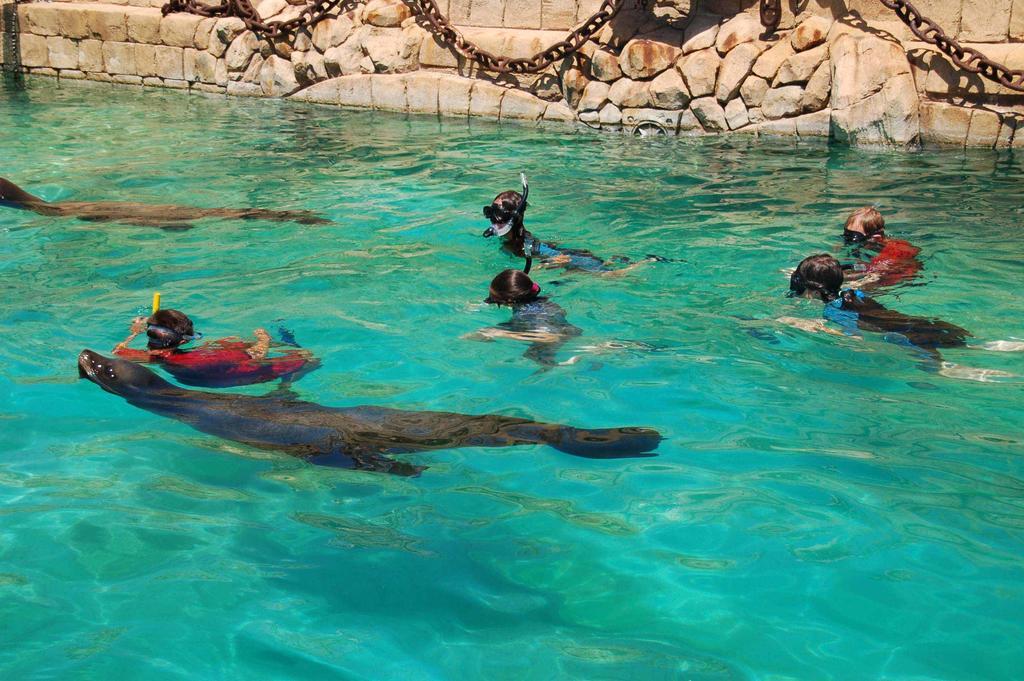 Magic Natura Resort Benidorm