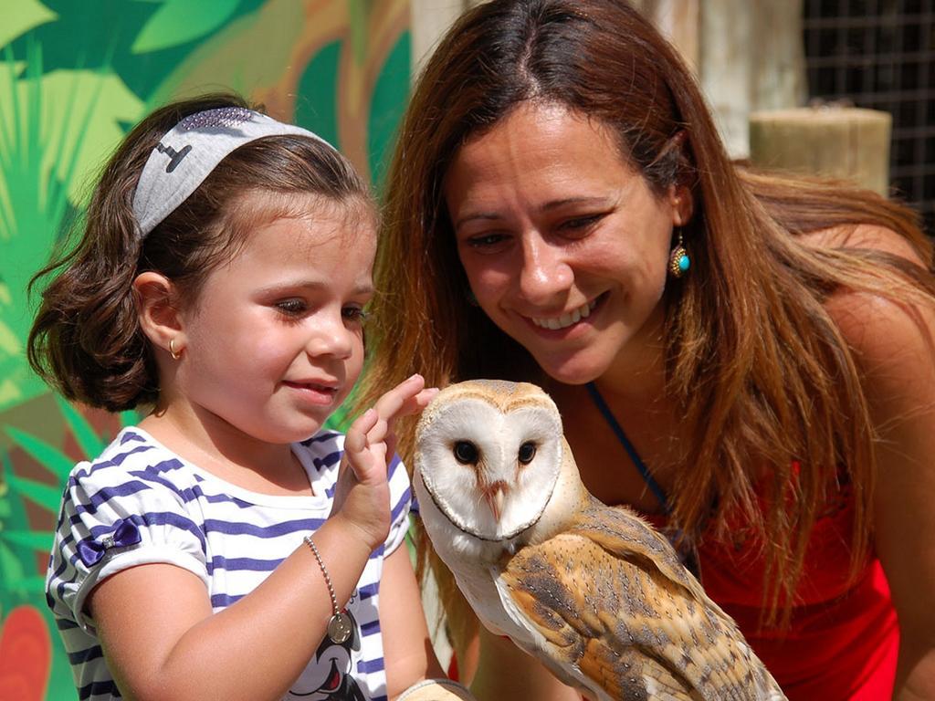 Magic Natura Resort Benidorm