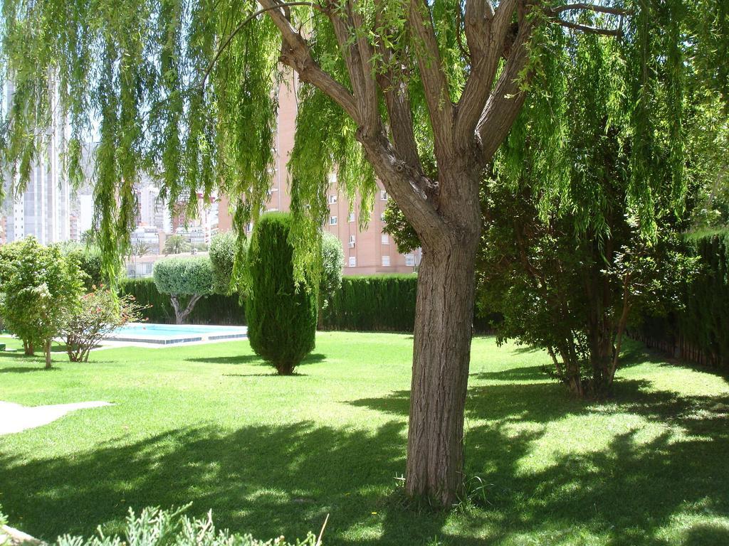 Apartment Los Olivos Benidorm