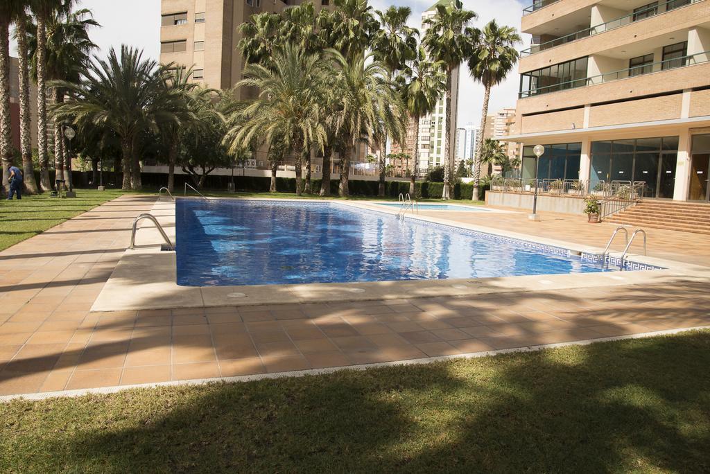 Paraiso Centro Alquilevante *