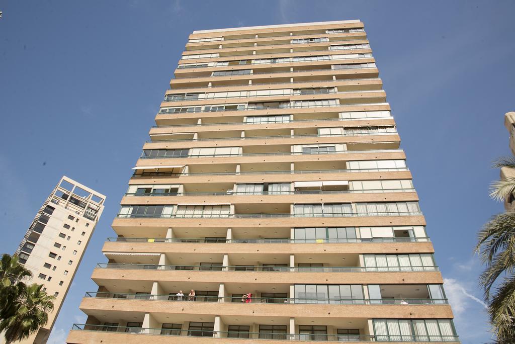 Paraiso Centro Alquilevante
