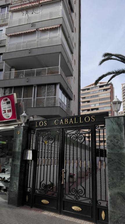 Caballos *