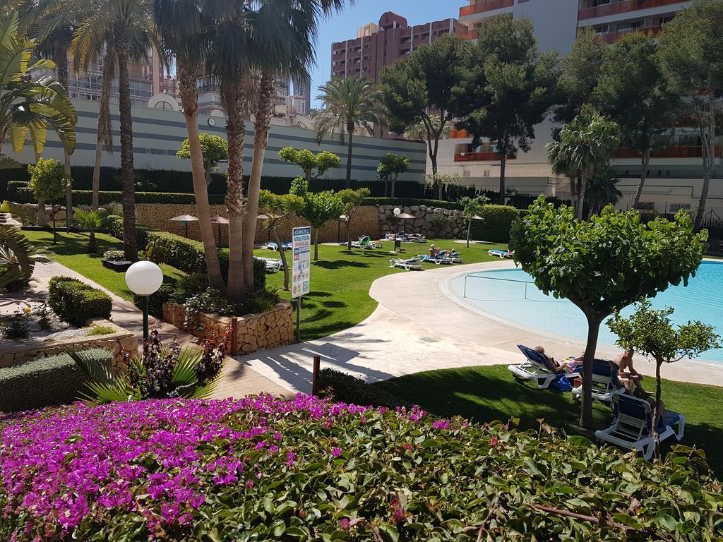 Apartamento Gemelos 22 - Benidormland *