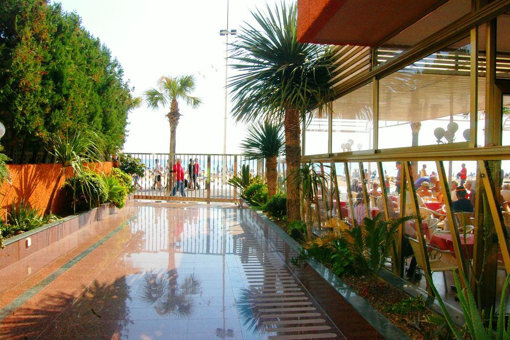 Torre Don Vicente - Arca Rent Benidorm