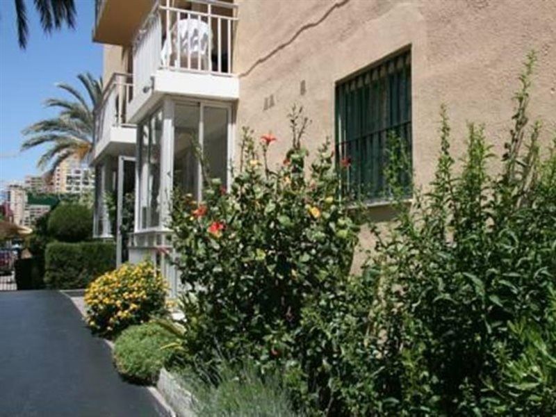 Appartement Palm Court *