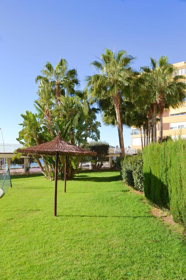 El Olivar *