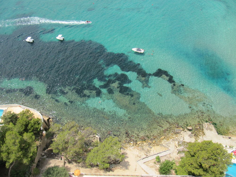 Lido Apartamento