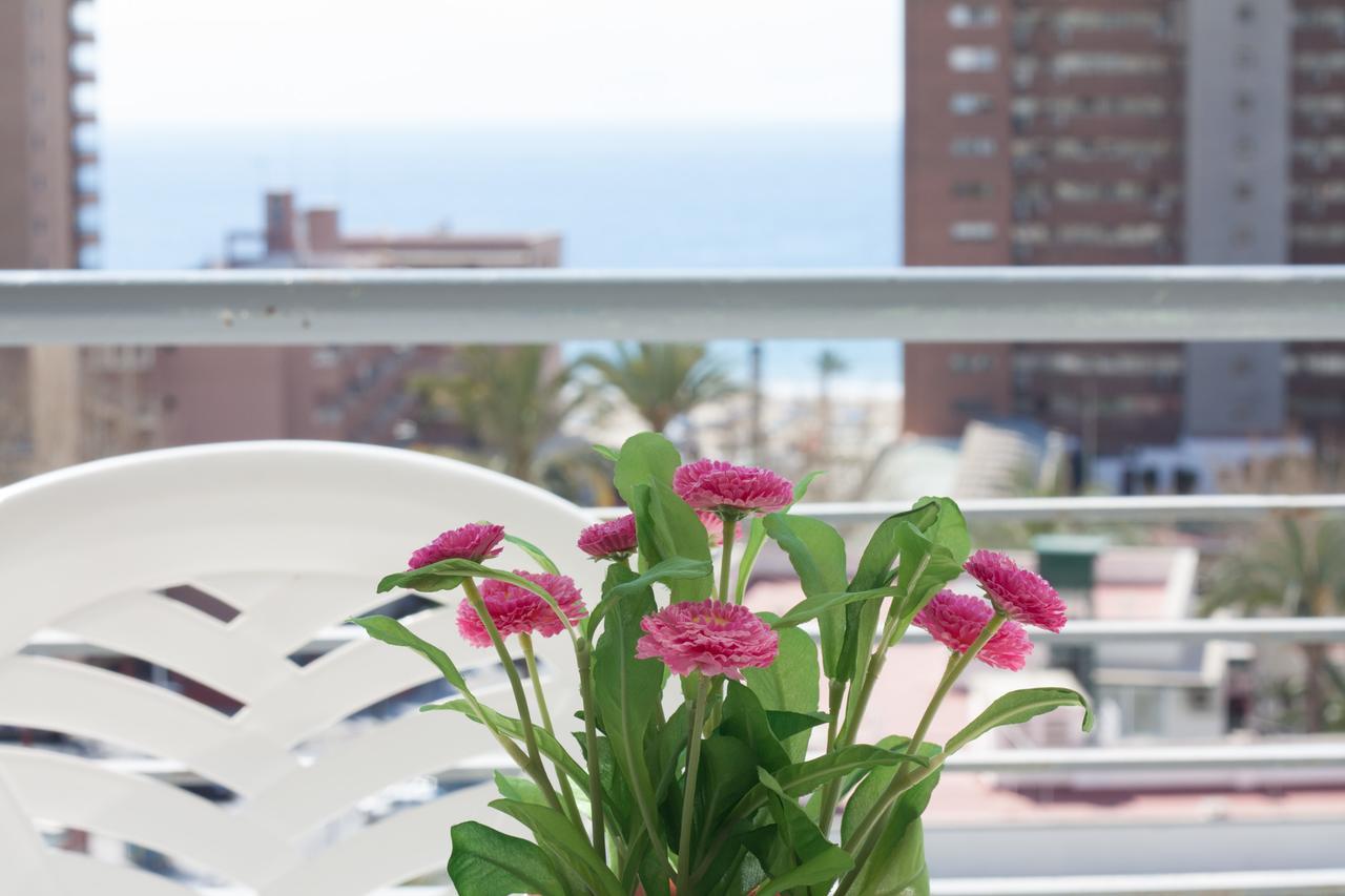 Niza Appartement