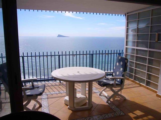 Palmeras Ii- Arena