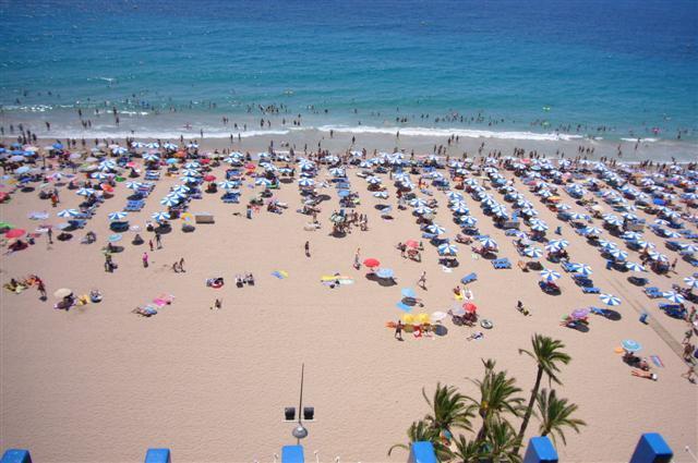 Palmeras - Arena Appartement Benidorm