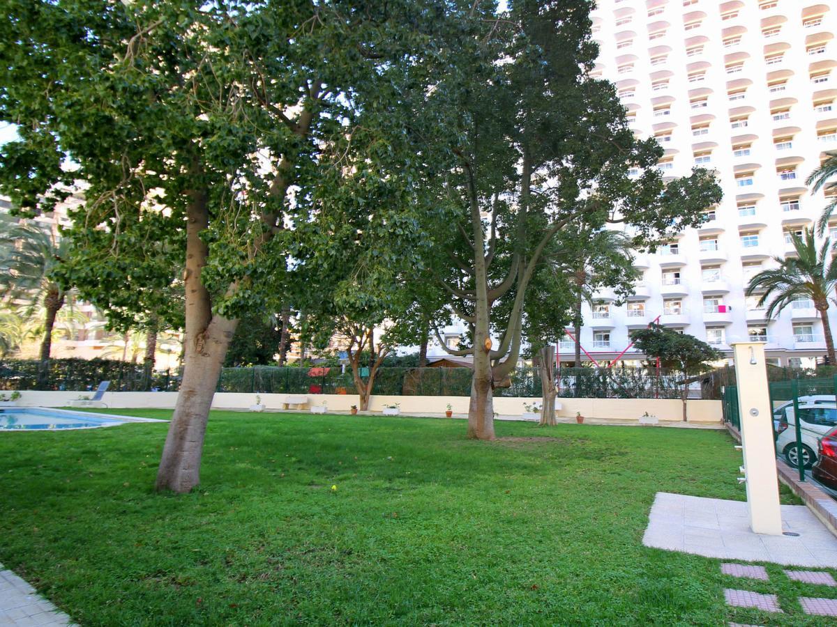 Waldorff Benidorm