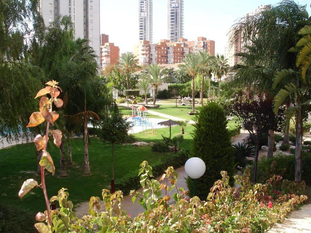 Gemelos 22 2-15-b Levante Benidorm