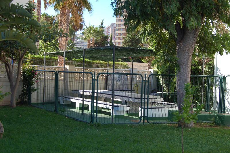 Rinconada Real - * Benidorm