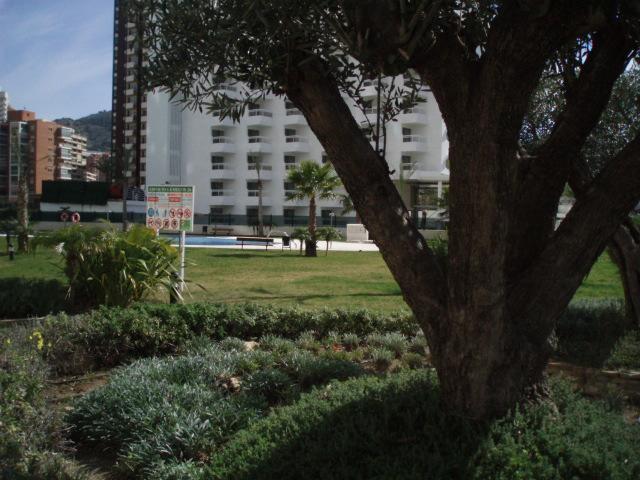 Gemelos 26-fincas