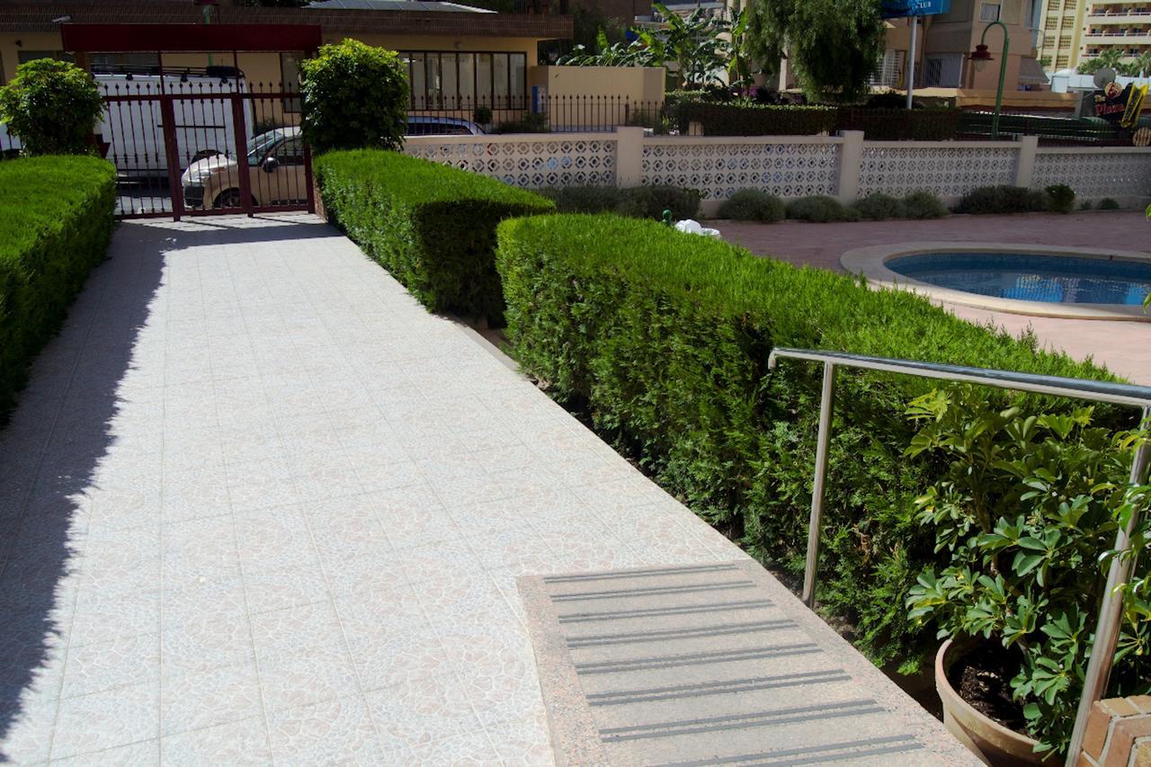 Apartment Trinisol Iii Alquilevante *
