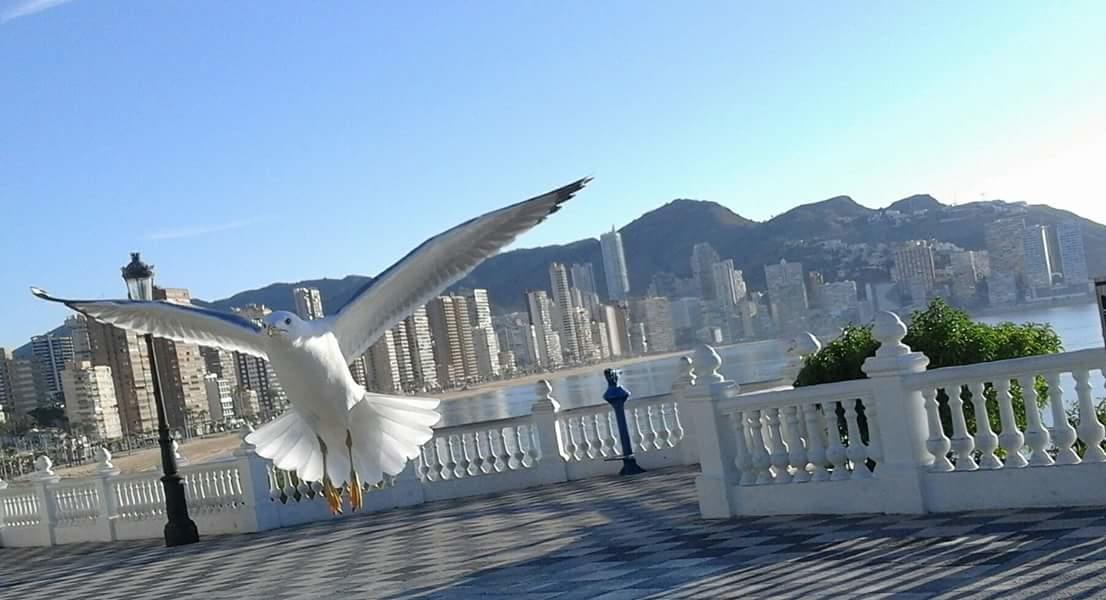 Appartement Acuarium Lux